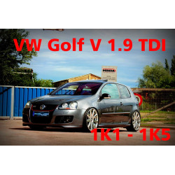 VW Golf 5 1.9 TDI 1K1 engine code BKC, BLS, BXE service maintenance package
